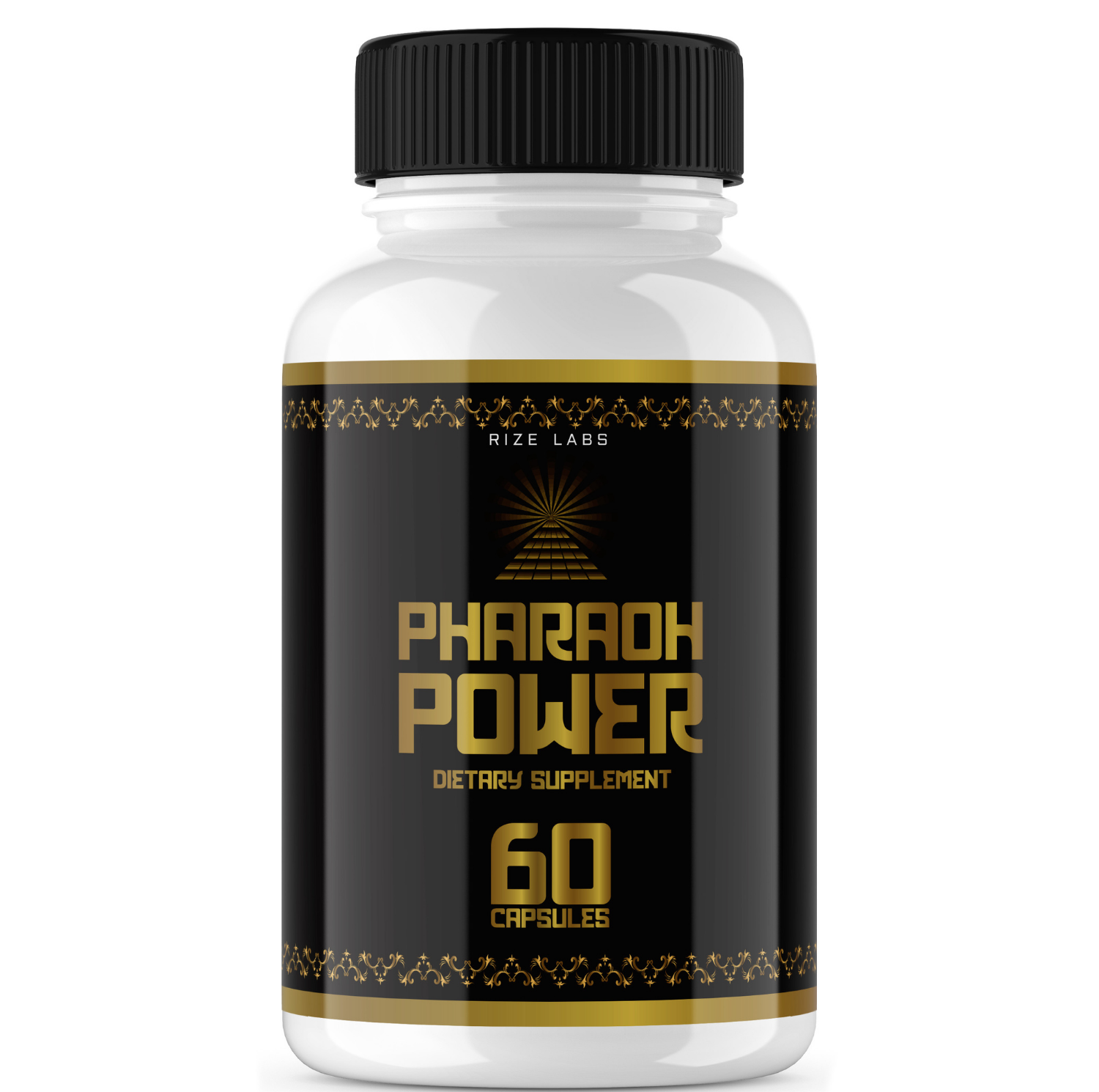 Rize Labs - Pharaoh Power