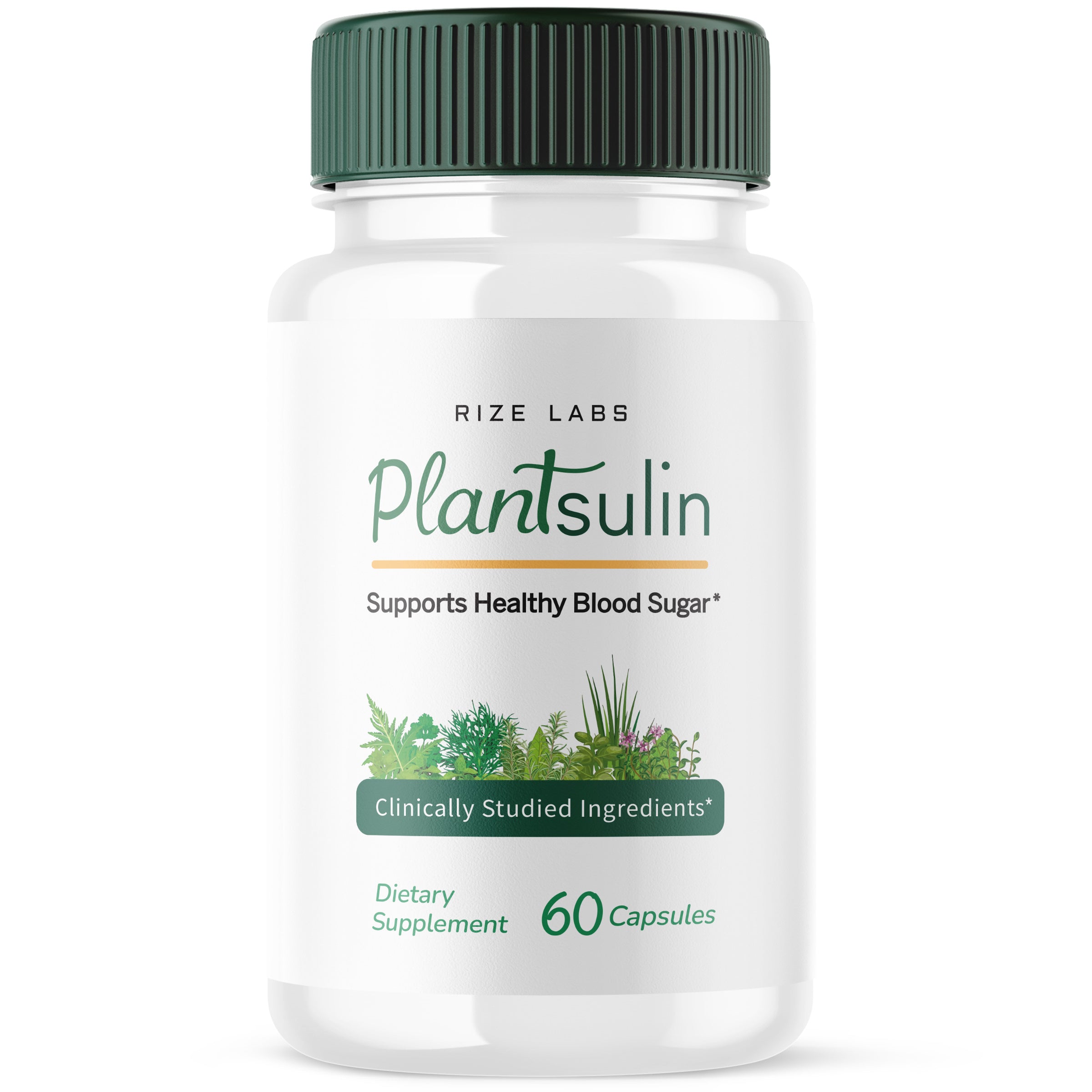 Rize Labs - Plantsulin