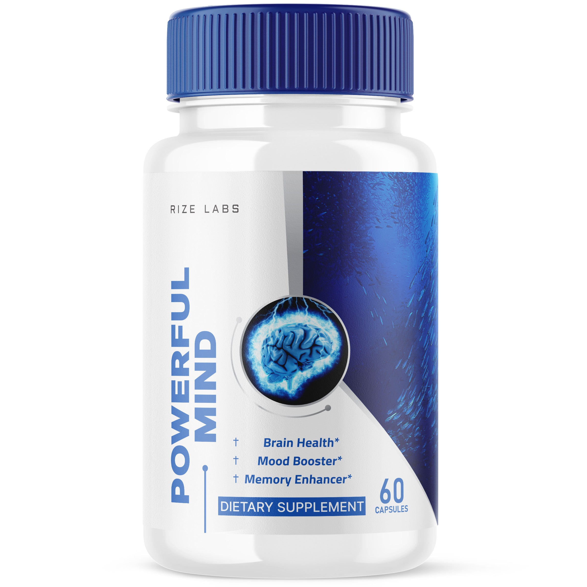Rize Labs - Powerful Mind