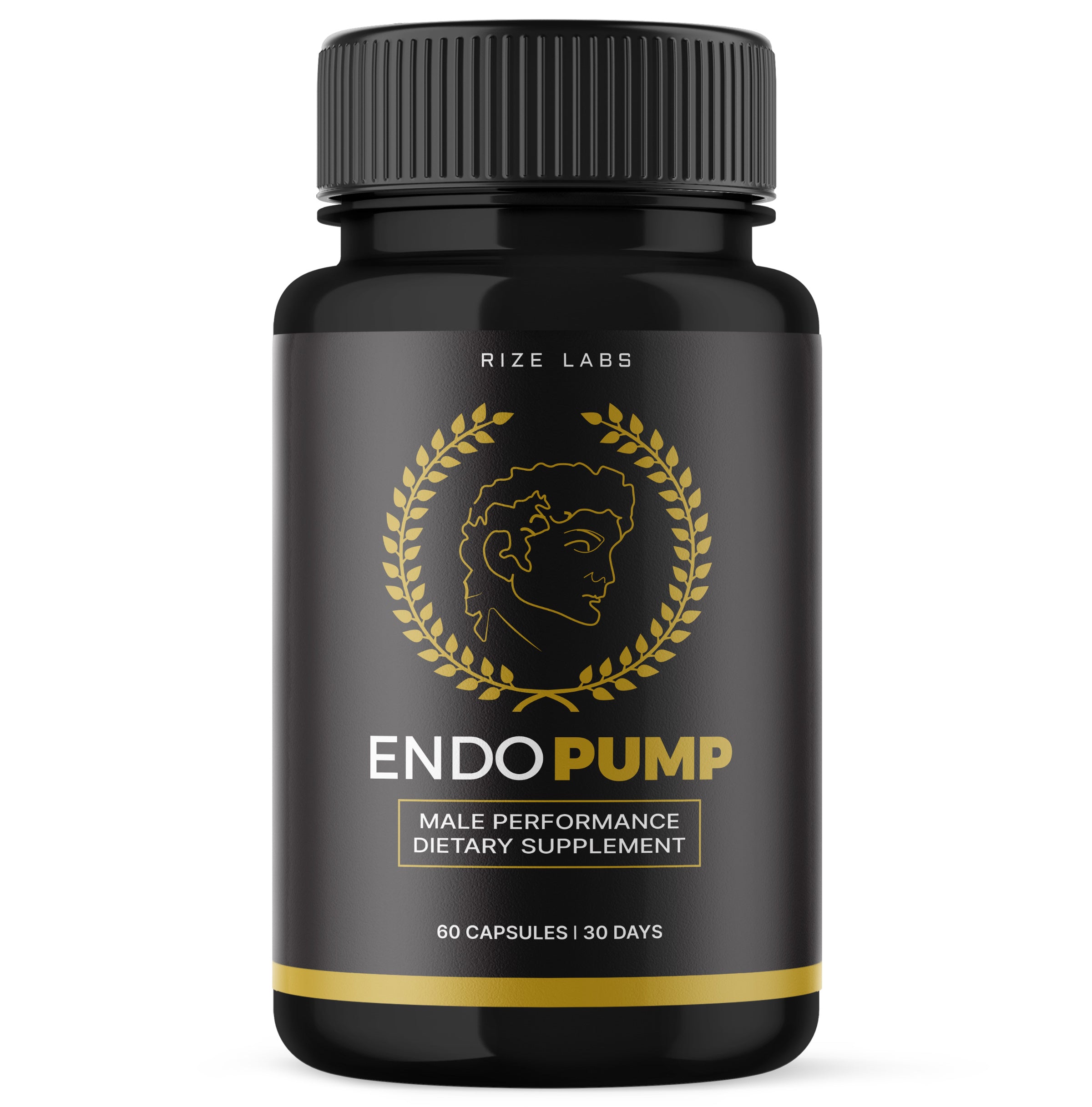 Rize Labs - Endo Pump